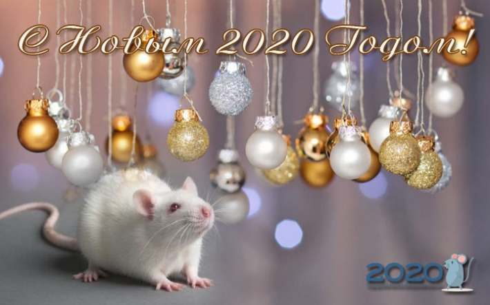 С Новым 2020 годом!